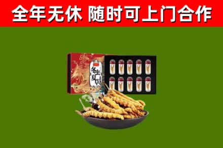 东川区回收冬虫夏草价格
